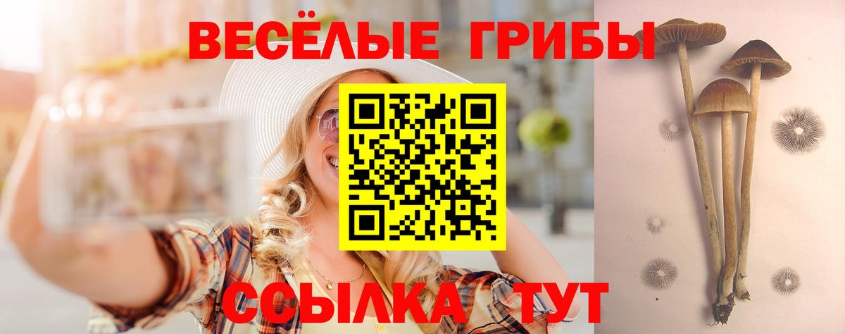 Галлюциногенные грибы MAGIC MUSHROOMS Октябрьский